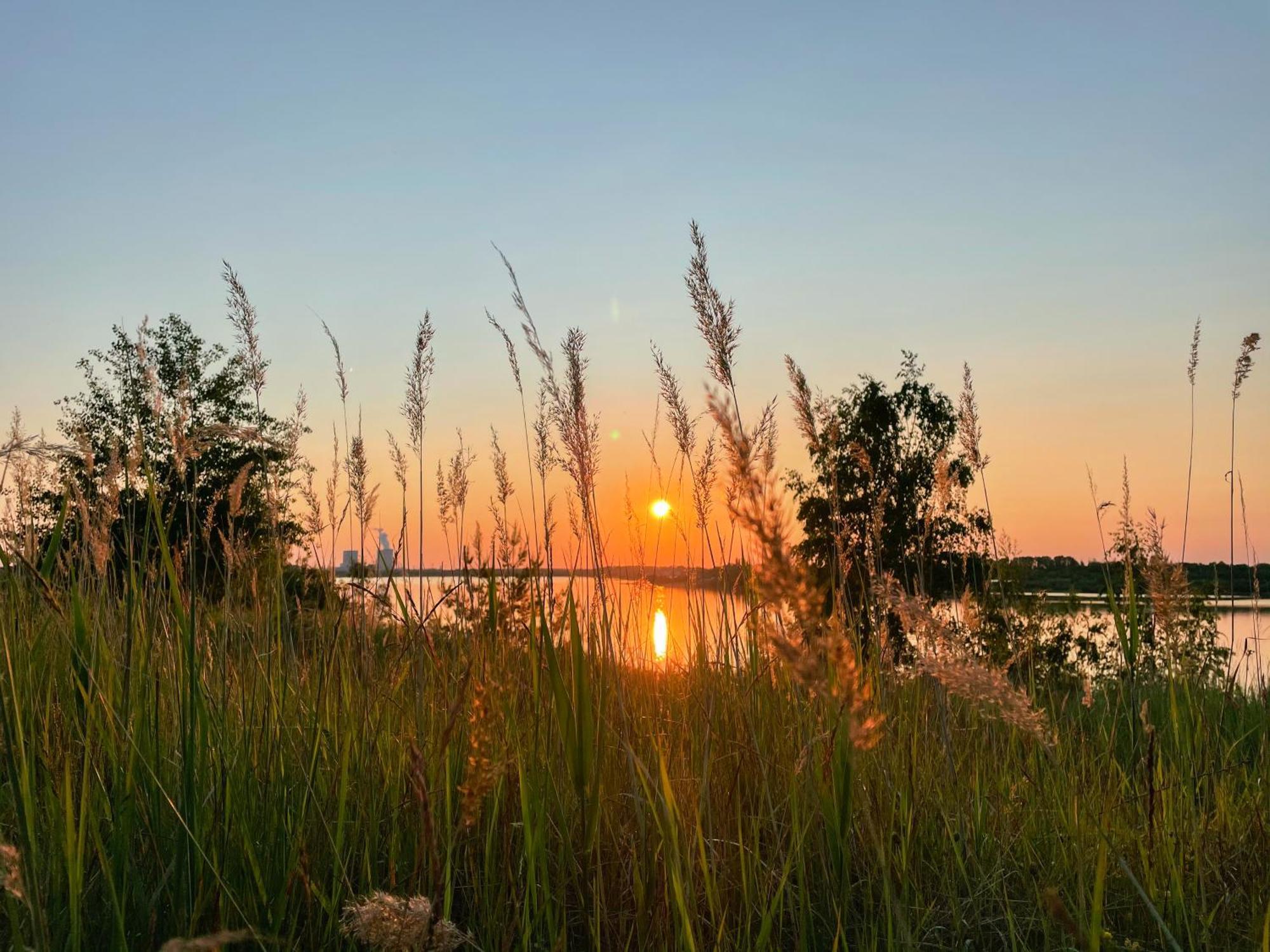 Haus Im Schilf 1 - Ferienwohnungen Am Hainer See Bei Leipzig Neukieritzsch المظهر الخارجي الصورة