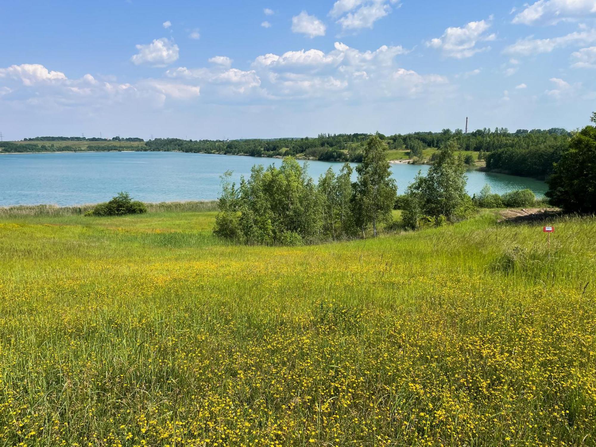 Haus Im Schilf 1 - Ferienwohnungen Am Hainer See Bei Leipzig Neukieritzsch المظهر الخارجي الصورة